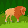 Aqsa Baji